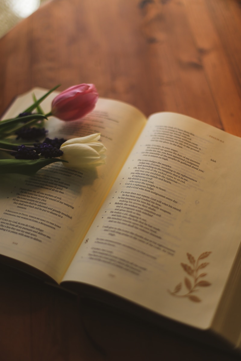 Two tulips and purple flowers rest on an open book.